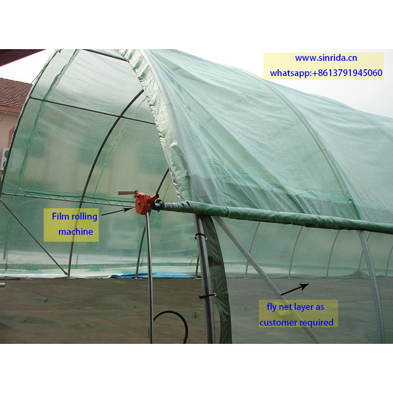 3080 customized greenhouse with PE gridding cover